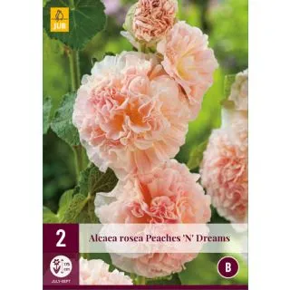 Compra ALCEA ROSEA PEACHES N DREAMS en la tienda online Fito Agrícola