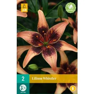 Compra LILIUM WHISTLER en la tienda online Fito Agrícola