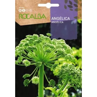 Compra ANGÉLICA (1 gr.) en la tienda online Fito Agrícola