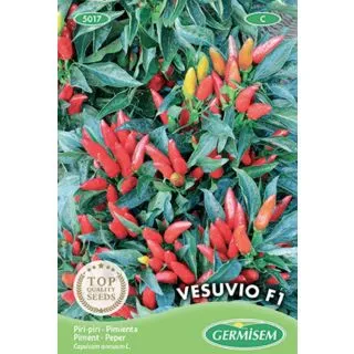 Compra PIMIENTO VESUVIO F1 (0,5 gr.). en la tienda online Fito Agrícola