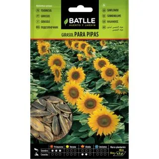 Compra GIRASOL PARA PIPAS (5 gr.). en la tienda online Fito Agrícola