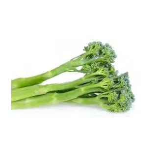 Compra BRÓCOLI TIERNO MS12 en la tienda online Fito Agrícola