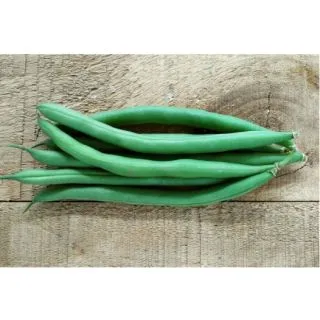 Compra JUDÍA BARCINO (5 Kgr.). en la tienda online Fito Agrícola