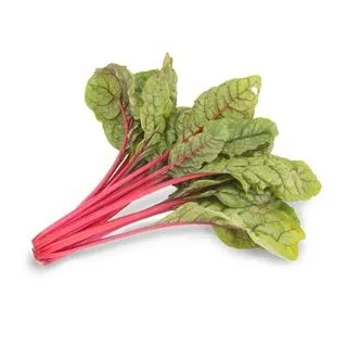 Compra ACELGA INTENSE (2.500 Semillas) en la tienda online Fito Agrícola