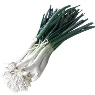 Compra CEBOLLA CALÇOT Extra Sel. Diamond Pildorada (100.000 Semillas) en la tienda online Fito Agrícola