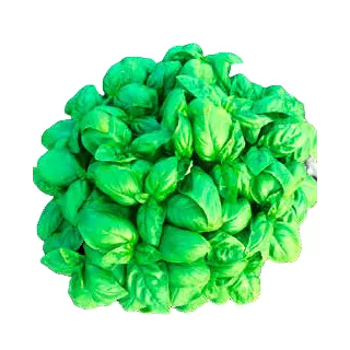 Compra ALBAHACA GECOM (1 Kgr.). en la tienda online Fito Agrícola