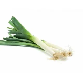 Compra PUERRO SWISS GIANT TATUM (100.000 Semillas) en la tienda online Fito Agrícola