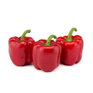 Compra PIMIENTO GOYA F1 (1.000 Semillas) en la tienda online Fito Agrícola