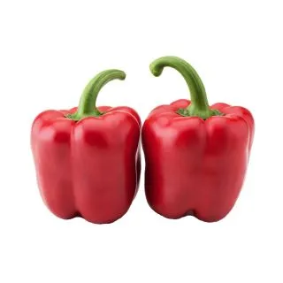 Compra PIMIENTO VAN GOGH F1 (1.000 Semillas) en la tienda online Fito Agrícola