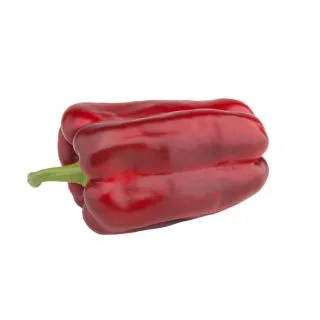 Compra PIMIENTO ESTOQUE F1 (1.000 Semillas) en la tienda online Fito Agrícola