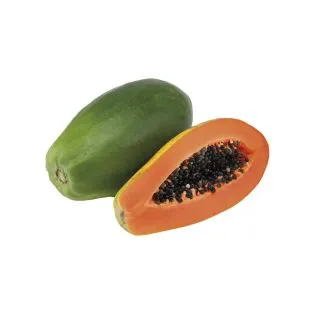Compra PAPAYA CABALLERO F1 (2.500 Semillas) en la tienda online Fito Agrícola