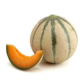 Compra MELÓN SAINZ F1 (1.000 Semillas). en la tienda online Fito Agrícola