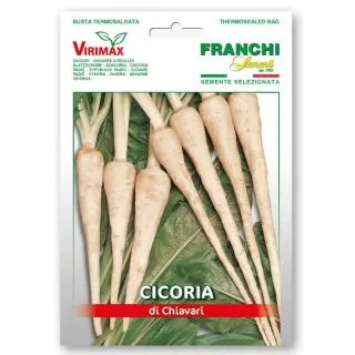 Compra ACHICORIA DE RAÍZ CHIAVARI (10 gr.) en la tienda online Fito Agrícola