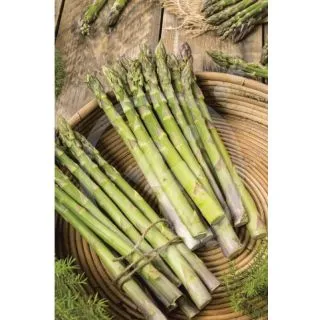 Compra ESPÁRRAGO GRANDE F1 (1ª) (125 garras) en la tienda online Fito Agrícola