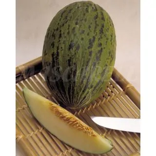 Compra MELON PIEL DE SAPO Sel. Ricura (100 gr.). en la tienda online Fito Agrícola