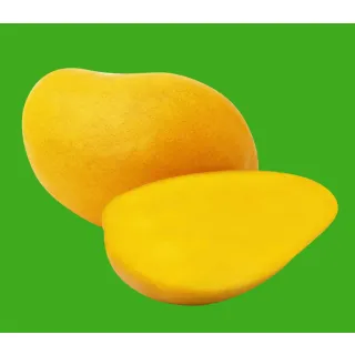 Compra MANGO ATAULFO en la tienda online Fito Agrícola
