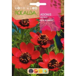 Compra ADONIS GOTA DE SANGRE (10 gr.). en la tienda online Fito Agrícola