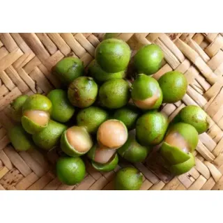 Compra MAMONCILLO en la tienda online Fito Agrícola