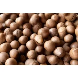 Compra MACADAMIA SV en la tienda online Fito Agrícola