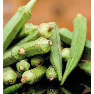 Compra OKRA GARIBAR F1 (1000 Semillas). en la tienda online Fito Agrícola