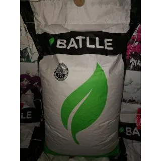 Compra RAY GRASS INGLÉS MATHILDE (25 Kgr.) en la tienda online Fito Agrícola