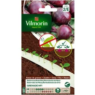 Compra REMOLACHA GRENADE F1 CINTAS SEMBRADORAS (5 Metros). en la tienda online Fito Agrícola