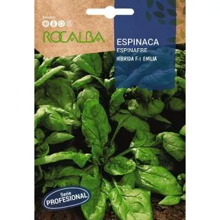 Compra ESPINACA EMILIA F1 BABY LEAF (100 gr.). en la tienda online Fito Agrícola