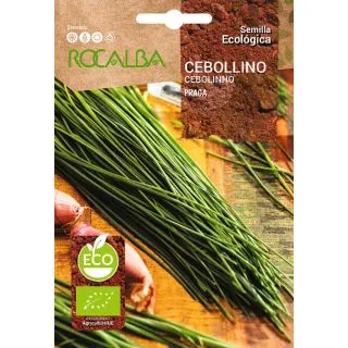 Compra CEBOLLINO DE PRAGA BIO (100 gr.). en la tienda online Fito Agrícola