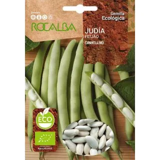 Compra JUDÍA CANNELLINO BIO (500 gr.). en la tienda online Fito Agrícola