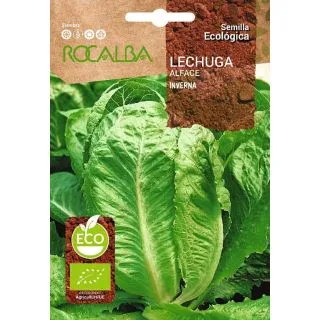 Compra LECHUGA INVERNA BIO (100 gr.). en la tienda online Fito Agrícola