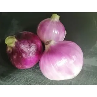 Compra CEBOLLA TROPEA TONDA OP (100 gr.). en la tienda online Fito Agrícola