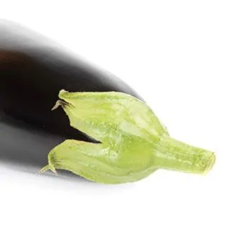 Compra BERENJENA KESIA RZ F1 (1000 Semillas) en la tienda online Fito Agrícola