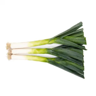 Compra PUERRO FLOCCUS RZ F1 Pildorado (5.000 Semillas). en la tienda online Fito Agrícola