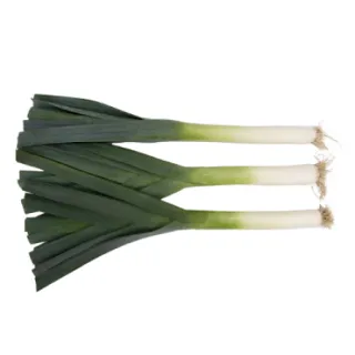 Compra PUERRO NEBULUS RZ F1 Pildorado (5.000 Semillas). en la tienda online Fito Agrícola