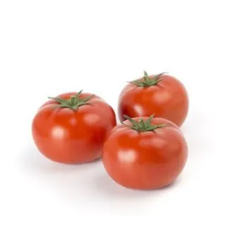 Compra TOMATE UMAGNA RZ F1 (1.000 Semillas). en la tienda online Fito Agrícola