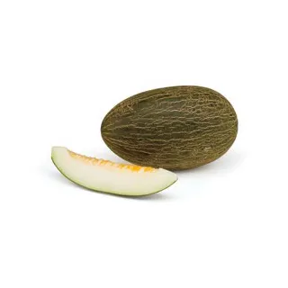 Compra MELÓN MENDOZA F1 (1000 Semillas). en la tienda online Fito Agrícola