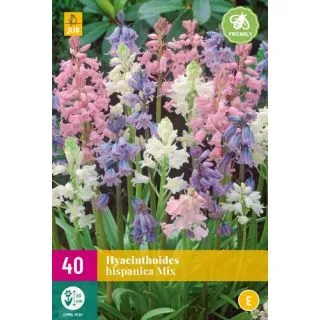 Compra HYACINTHOIDES HISPANICA MIX XXL en la tienda online Fito Agrícola