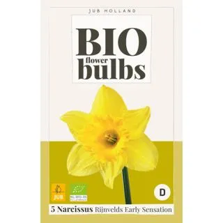 Compra NARCISOS RIJNVELDS EARLY SENSATION BIO en la tienda online Fito Agrícola
