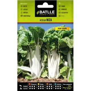 Compra ACELGA LARGA BLANCA NIZA (10 gr.). en la tienda online Fito Agrícola