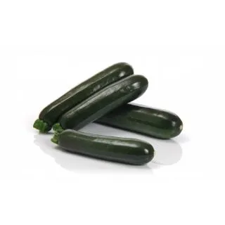 Compra CALABACÍN ASCONA F1 (1.000 Semillas) en la tienda online Fito Agrícola