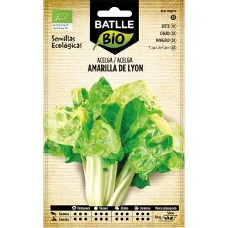 Compra ACELGA AMARILLA DE LYON ECOLÓGICA (100 gr.). en la tienda online Fito Agrícola