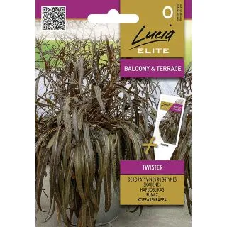 Compra ACEDERA TWISTER (1 gr. - Cerca de 800 Semillas) en la tienda online Fito Agrícola