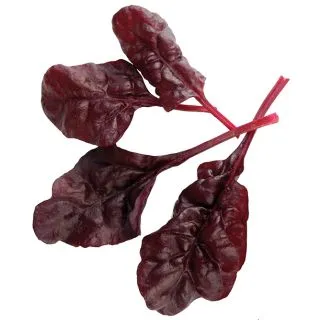 Compra ACELGA FIREBIRD BABY LEAF (250 gr.) en la tienda online Fito Agrícola