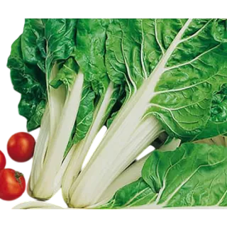 Compra ACELGA VERDE DE PENCA BLANCA RAZA AMPUIS (1 Kgr.). en la tienda online Fito Agrícola