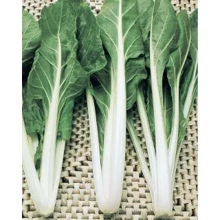 Compra ACELGA BIANCOSTA Calibrada (10.000 Semillas). en la tienda online Fito Agrícola