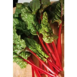 Compra ACELGA RHUBARB CHARD Calibrada (5.000 Semillas). en la tienda online Fito Agrícola