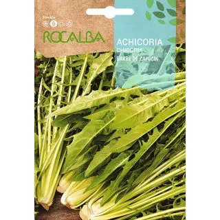 Compra ACHICORIA BARBE DE CAPUCIN (10 gr.). en la tienda online Fito Agrícola