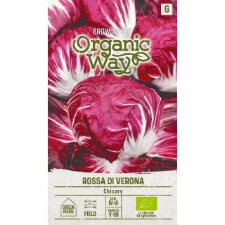 Compra ACHICORIA GEANTE MARAICHERE ROSSA DI VERONA ECOLÓGICA (1 gr. - Cerc de 600 Semillas). en la tienda online Fito Agrícola