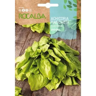 Compra ACHICORIA RADICHETA SPADONA (10 gr.). en la tienda online Fito Agrícola