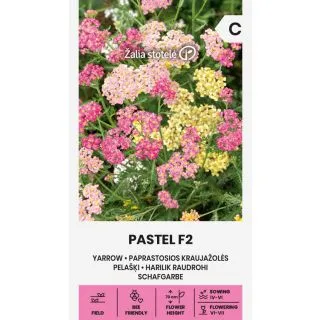 Compra ACHILEA YARROW PASTEL F2 (0,2 gr. - Cerca de 1.200 Semillas). en la tienda online Fito Agrícola